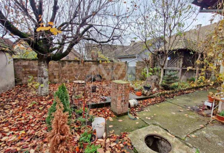 Apatin, Kuća sa lokalom 296m2