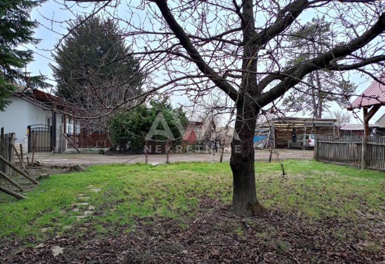 Apatin. Dvojna dvorišna kuća  površine 82 m².