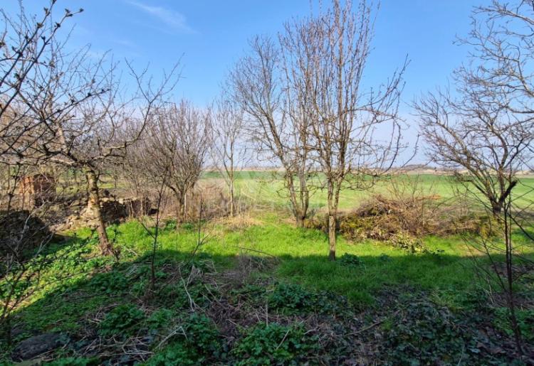 Čonoplja – Spratna kuća 172m² na velikom placu 1617m²