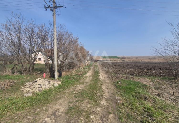 Salaš sa ribnjakom na prodaju – Kljajićevo, plac 3.8 ha 
