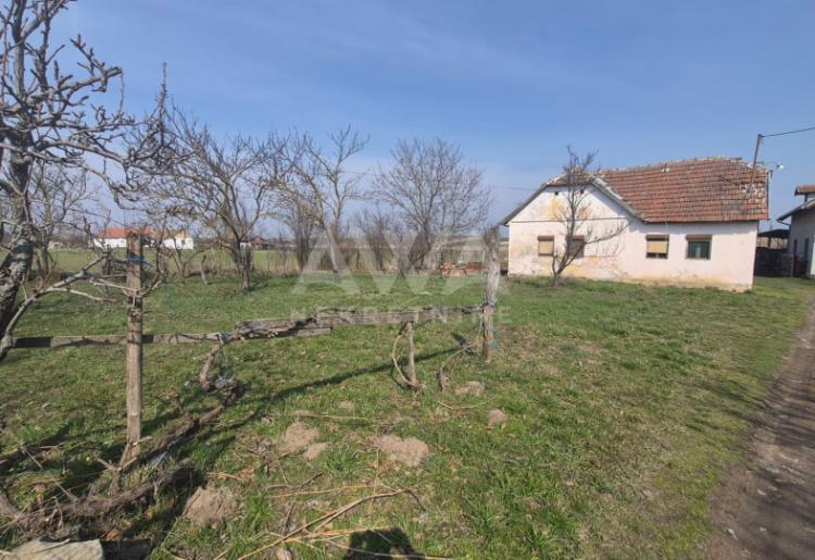 Salaš sa ribnjakom na prodaju – Kljajićevo, plac 3.8 ha 