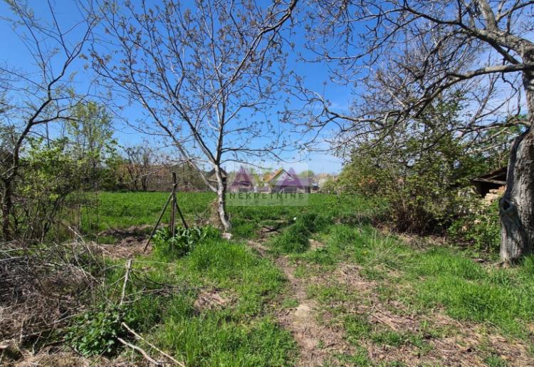 Stanišić – kuća sa velikim placem 17 ari