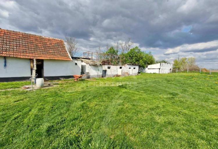 Salaš u Lugovu sa voćnjakom – 73 m² na placu 2787 m²