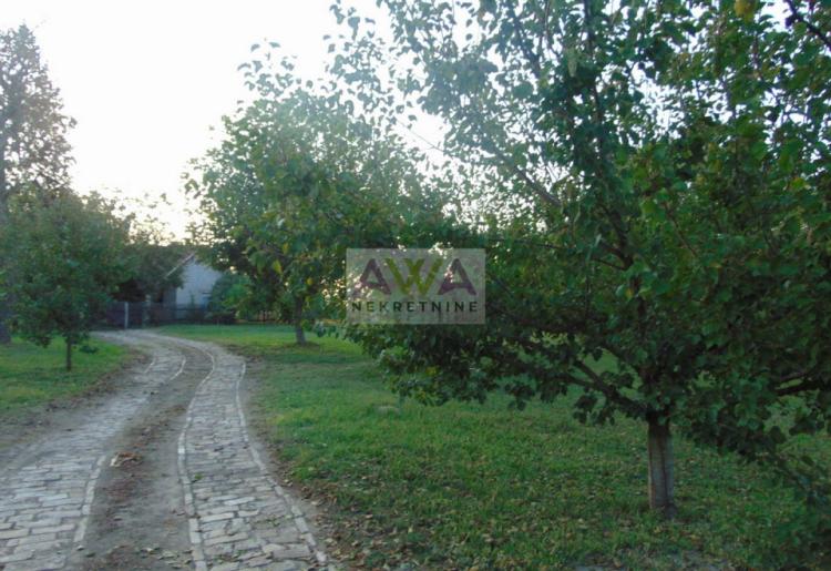 Salaš sa voćnjakom na 8140 m² – Sombor, 7 km od centra