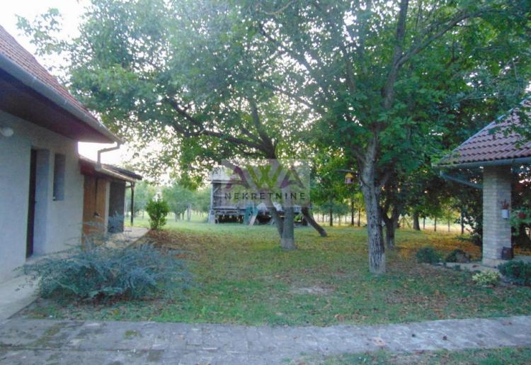 Salaš sa voćnjakom na 8140 m² – Sombor, 7 km od centra