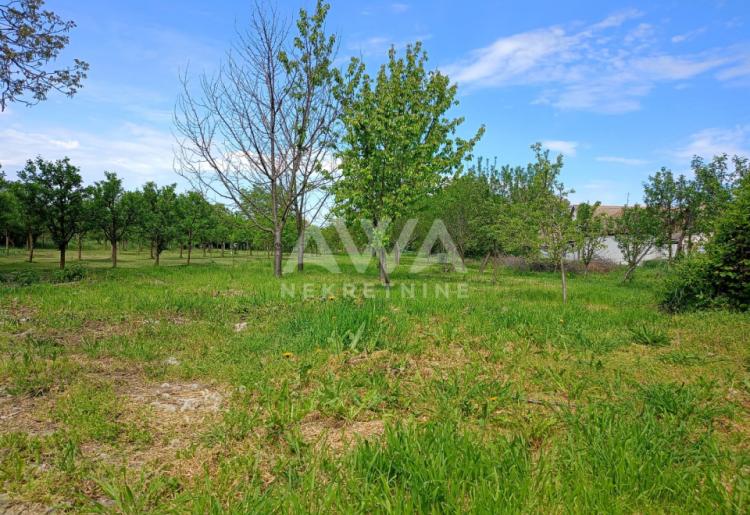 Apatin. Porodična kuća sa velikim placem – idealna za miran život ili investiciju!