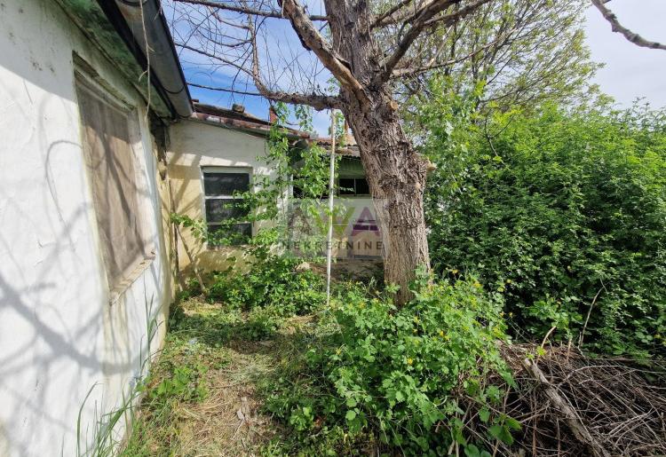 Bezdan. Kuća 91m2, plac 18ar