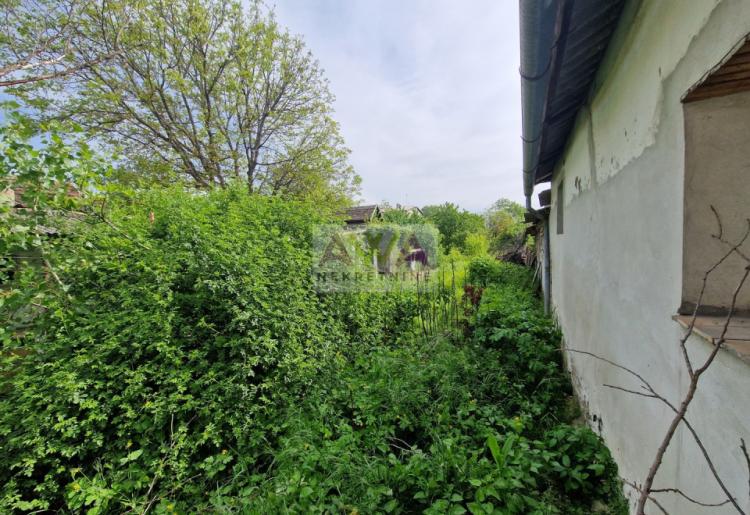 Bezdan. Kuća 91m2, plac 18ar