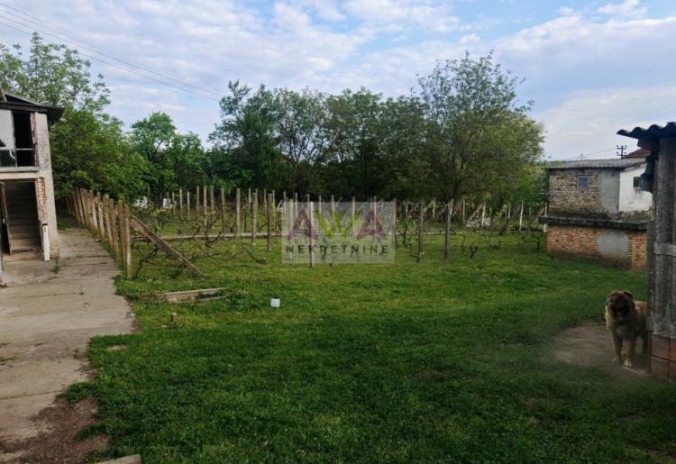 Imanje za život i proizvodnju – vinograd, voćnjak i podrum u Sivcu