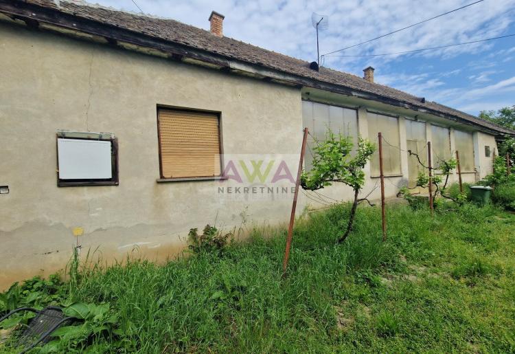 Kruščić – Kuća na skoro jutro placa sa zasadom lešnika