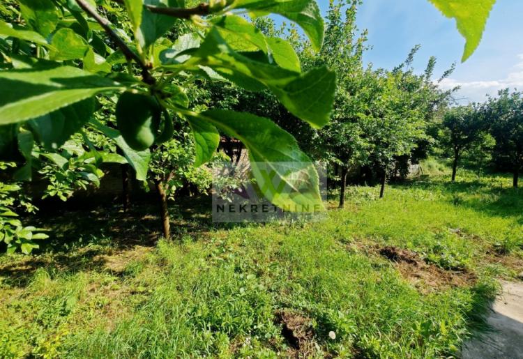 Prigrevica – Očuvana kuća 169m², pomoćni objekti, voćnjak, mogućnost kupovine preko konkursa