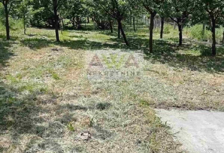 Prigrevica – Očuvana kuća 169m², pomoćni objekti, voćnjak, mogućnost kupovine preko konkursa