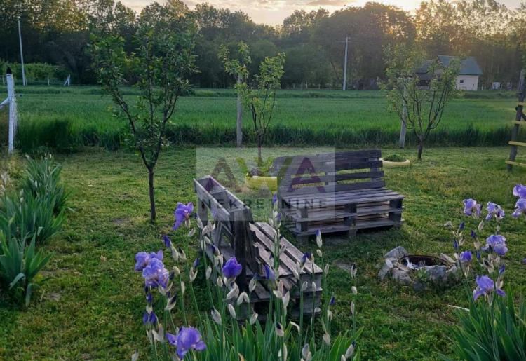 Kupusina – Mlad šljivik 6. godina, ograđen plac sa bunarom i sistemom kap po kap