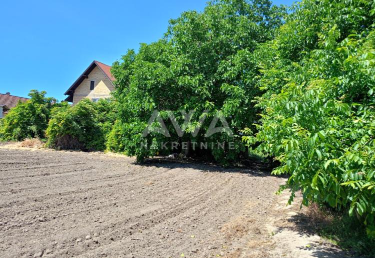 Veliki plac sa kućom za renoviranje ili rušenje, Kupusina – 186 m² (plac 20.14 ari)