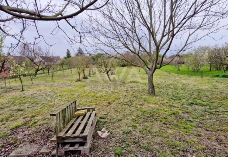 Bezdan – Trosobna kuća 152m², plac 1.839m²