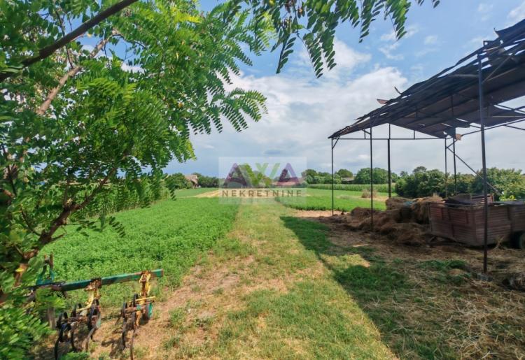 Bački Brestovac – Porodično imanje sa spratnom kućom i ekonomskim objektima, plac 1.927m²