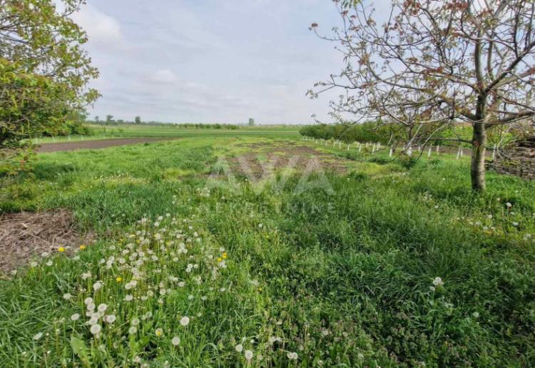 Gakovo – Porodična kuća 127m² na velikom placu od 1.853m²