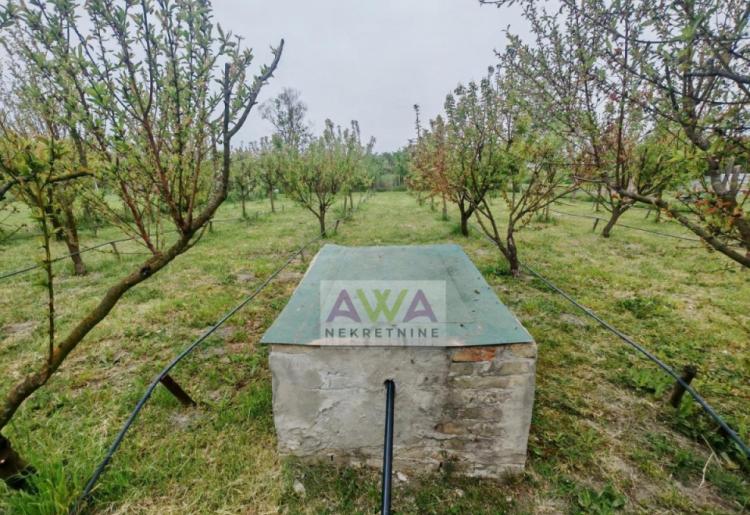 Bezdan – kuća 163 m² sa voćnjakom na placu od 2.057 m²