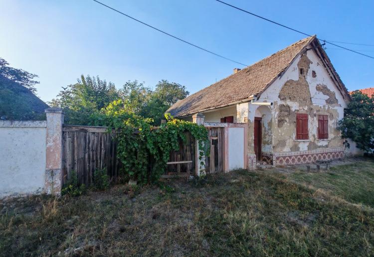Bački Brestovac. Kuća 134m2, plac 13ar