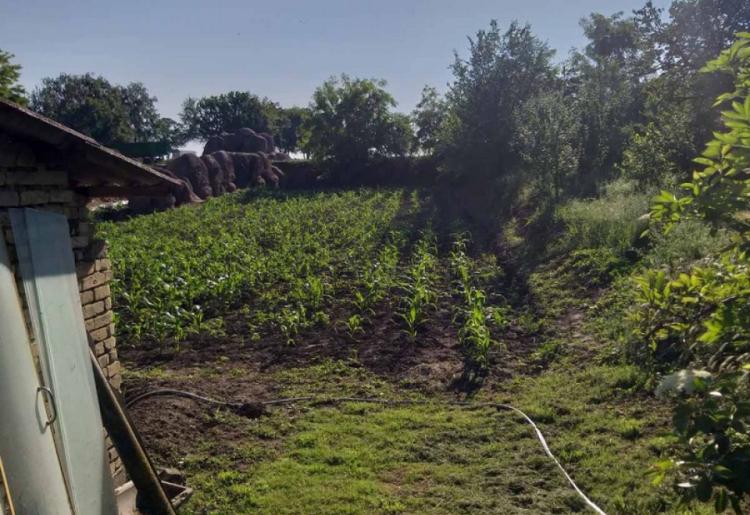 STANIŠIĆ – KUĆA 117 m², PLAC 11 ARI – 55.000 €