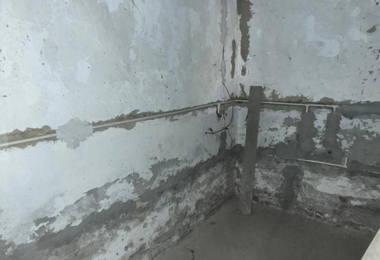 Stapar - Kuća 155 na 49ar placa