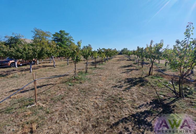 Sombor – salaš na 1,31 ha sa dve funkcionalne kuće i voćnjakom