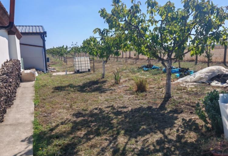 Sombor – salaš na 1,31 ha sa dve funkcionalne kuće i voćnjakom