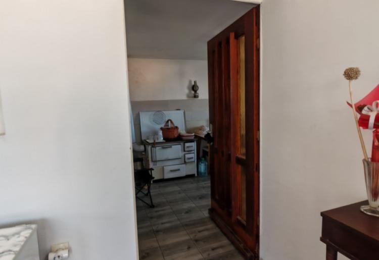 Sombor – salaš na 1,31 ha sa dve funkcionalne kuće i voćnjakom