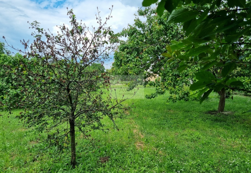 Spratna kuća,168m2 blizu centra Apatina, plac 9ar