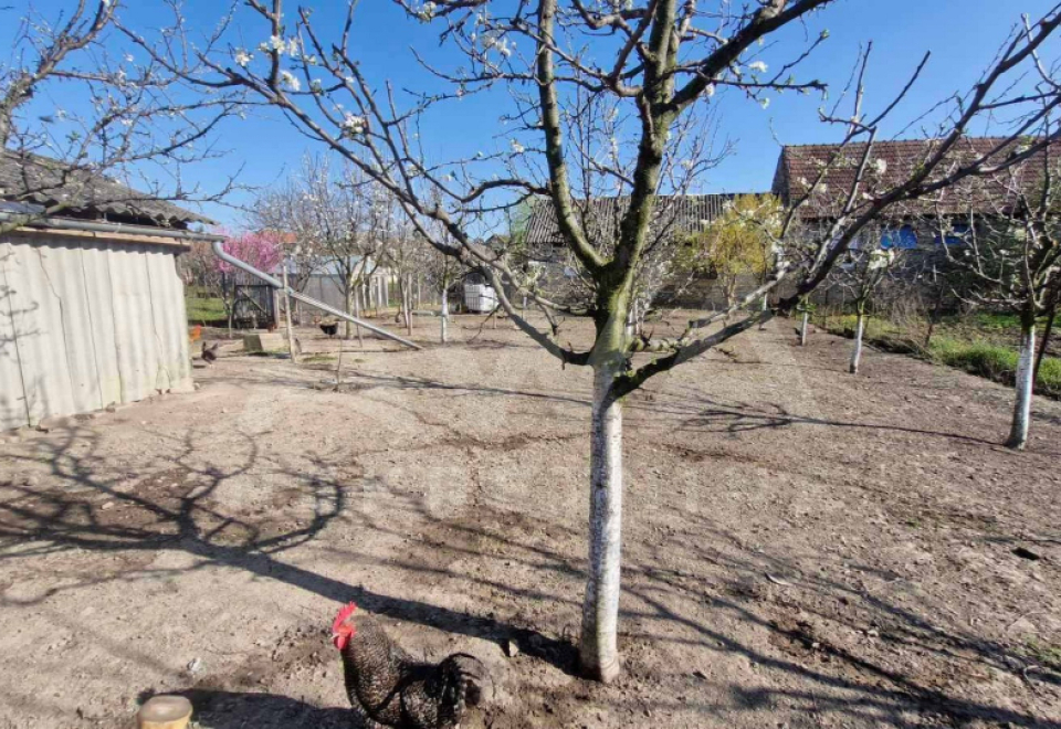 Starogradska kuća u Prigrevici 232 m2