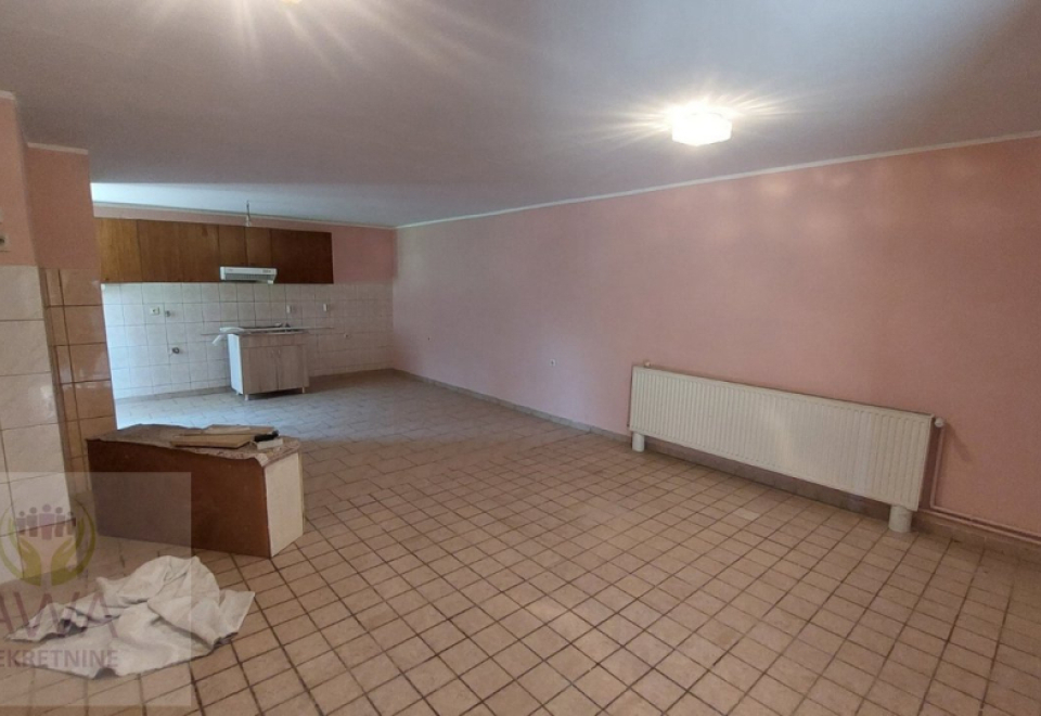 Stanišić, kuća 296 m2, prava za veliku porodicu