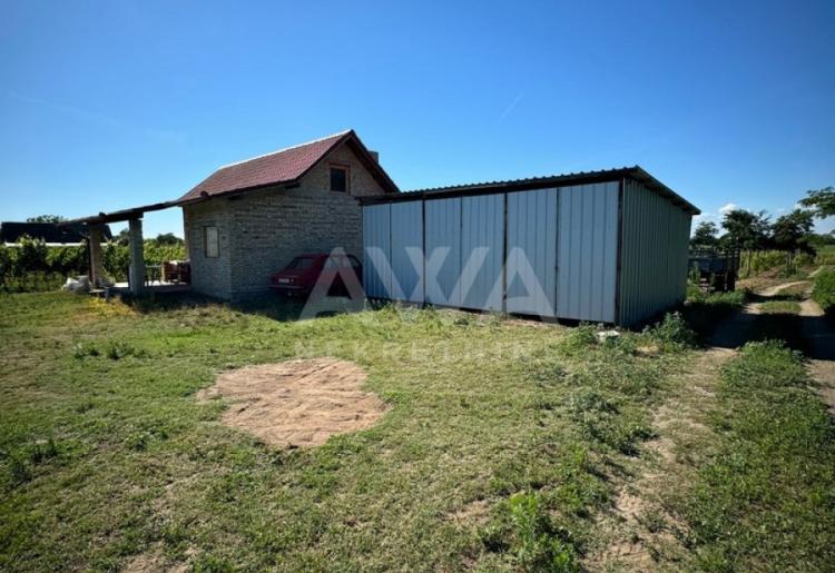 Vinograd i voćnjak na 3.94ha Bački Monoštor