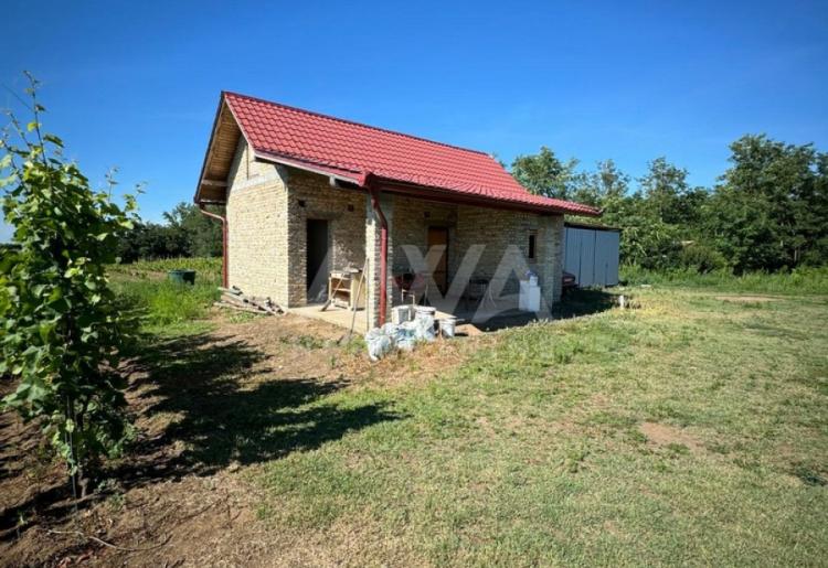 Vinograd i voćnjak na 3.94ha Bački Monoštor