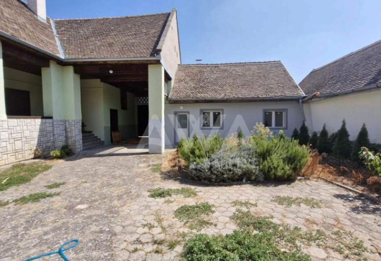 Apatin starogradska sređena kuća 435 m2
