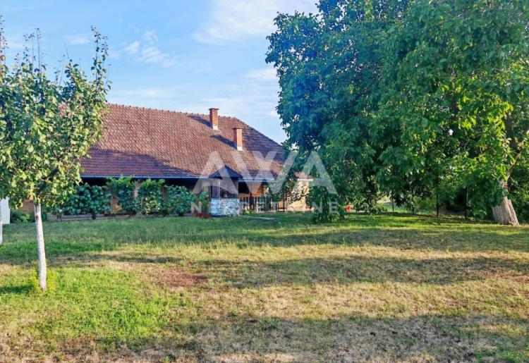 Sonta. Kuća – salaš na 47ar placa